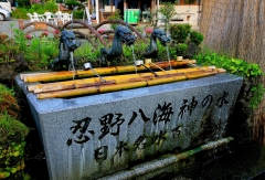 景点模块 