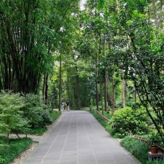 杜甫草堂