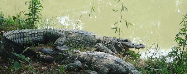 湖州周边温泉一日游推荐_湖州周边温泉两日游