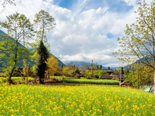 四川海螺溝報團(tuán)多少錢_廣州四川海螺溝旅游團(tuán)_四川海螺溝旅游價格多少跟團(tuán)
