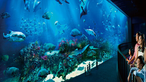 sea海洋馆图片