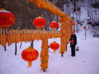 哈尔滨最佳旅游_端午去哈尔滨旅游_哈尔滨旅游优惠