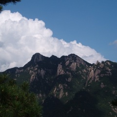 活动模块 
