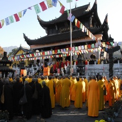 活动模块 