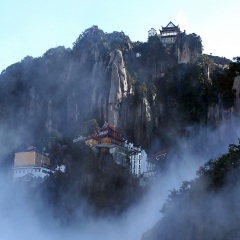 活动模块 