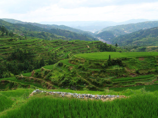 旅游贵州黄果树团_过年去贵州黄果树旅游团_贵州黄果树旅行哪家好