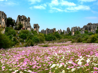 昆明过春节旅行团_昆明5日游_去昆明旅游报价