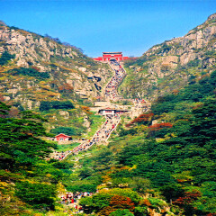 景点模块 
