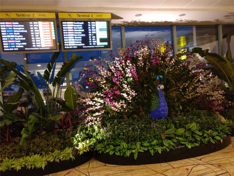 马尔代夫卡尼岛+马累游 纪念我们的新婚蜜月