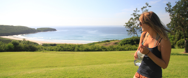 悉尼卧龙岗冲浪体验一日游 (4小时冲浪课程+远