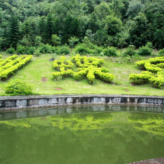 蝴蝶泉 景点模块