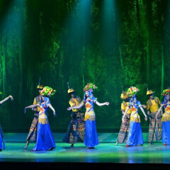 丽水金沙表演 景点模块