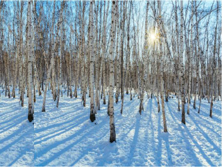 到亞布力雪鄉(xiāng)旅游報(bào)團(tuán)價(jià)格_現(xiàn)在到亞布力雪鄉(xiāng)旅游多少錢_亞布力雪鄉(xiāng)旅游要多少錢跟團(tuán)