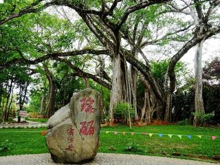 过年去腾冲旅游_腾冲好的旅游_春节腾冲旅游跟团