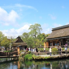 景点模块 