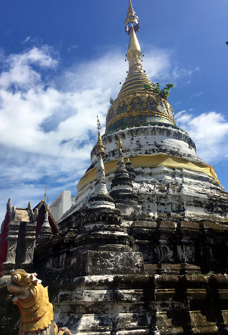 #牛牛伴我闯天涯# 猫猫在路上--走一个不一样的