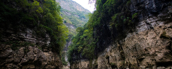 重庆有什么特产_重庆有什么好东西值得买_重