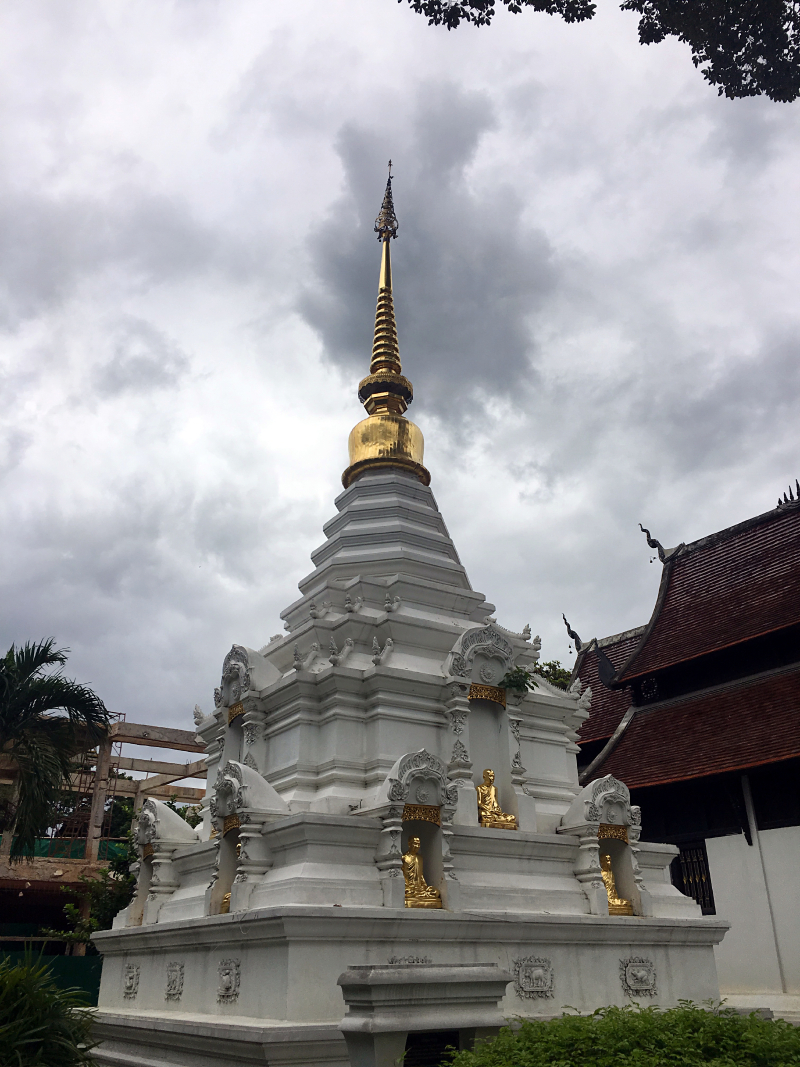 #牛牛伴我闯天涯# 猫猫在路上--走一个不一样的