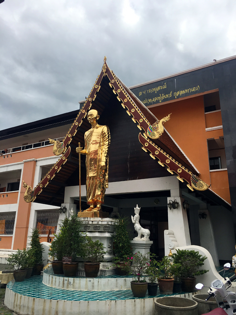 #牛牛伴我闯天涯# 猫猫在路上--走一个不一样的