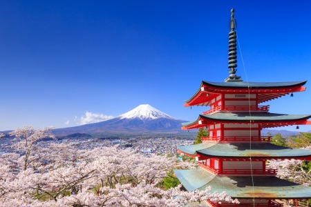 <日本东京-箱根-京都-大阪6日游>2晚东京湾凯悦酒店或东京新高轮格兰王子酒店连住，岚山公园，1晚温泉，东京1天自由人