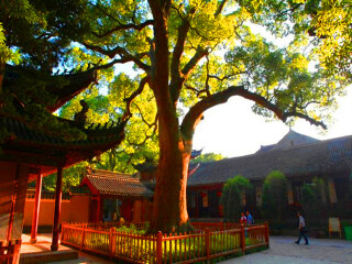 寧波普陀山旅行團(tuán)_2021年寧波普陀山旅游團(tuán)報(bào)價(jià)_寧波普陀山自由行旅游團(tuán)