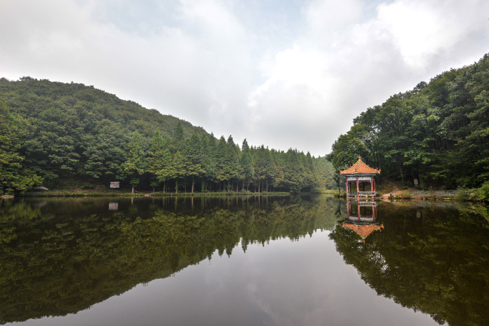 嵩县有多少人口_嵩县白云山图片(3)
