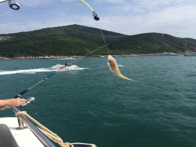<三亚钓鱼艇包艇出海半日游游
