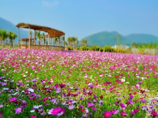 十月份去海南三亞好嗎_十一海南三亞游報(bào)價(jià)_海南三亞旅游最佳路線
