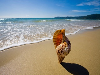 海南旅游報價_深圳到海南旅游報價_海南旅游幾月份最合適