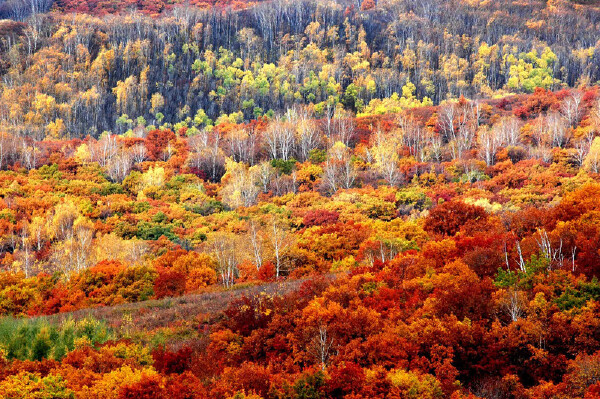 乌拉特前旗哪有好玩的地方_乌拉特前旗好玩地