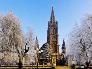 团哈尔滨旅游_去哈尔滨的旅游费用_哈尔滨8天旅游