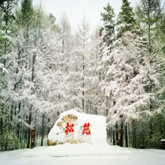 景点模块 