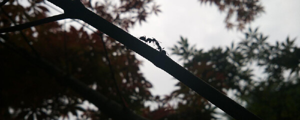 纳米比亚有什么特产_纳米比亚有什么好东西值