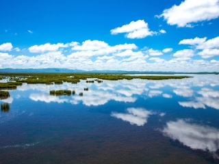 甘肅蘭州旅游多少價(jià)格_甘肅蘭州跟團(tuán)游旅游_甘肅蘭州6日跟團(tuán)游
