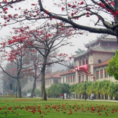活动模块 