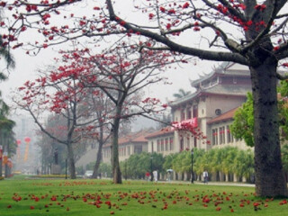 深圳特價(jià)廈門鼓浪嶼游_廈門鼓浪嶼游 旅行團(tuán)_去廈門鼓浪嶼報(bào)團(tuán)多少錢