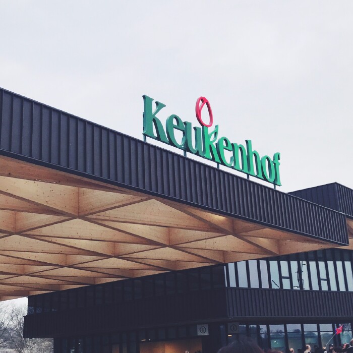 【漫游西欧】-【#法比荷#巴黎-布鲁塞尔-阿姆