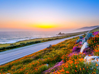 深圳到美國夏威夷旅游報價_申請美國夏威夷旅游簽證_旅游去美國夏威夷