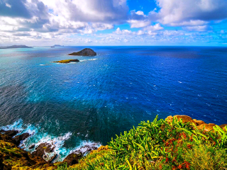 深圳到美國夏威夷旅游報價_申請美國夏威夷旅游簽證_旅游去美國夏威夷