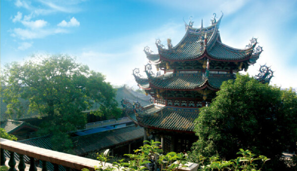 【龙海杨梅节】_龙海摘杨梅时间|地点|攻略