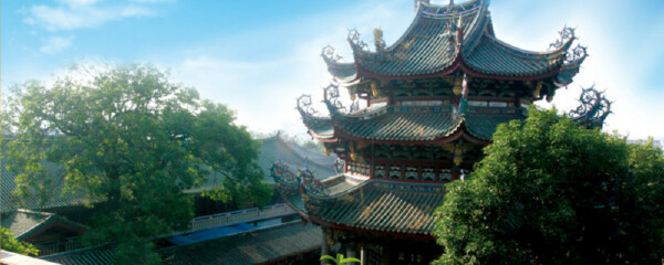 【龙海杨梅节】_龙海摘杨梅时间|地点|攻略