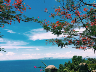 2021去越南旅游團(tuán)報(bào)價(jià)_越南八月份旅游_2021去越南跟團(tuán)多少錢