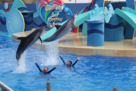 <香港往返机票+海洋公园+澳门4晚5日游>天际100、海洋公园、1天葡澳风情、畅游威尼斯人、纯玩0购物、只收G签