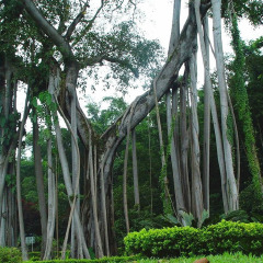 景点模块 