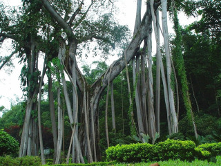 深圳到云南大理麗江旅游報價_云南大理麗江旅游跟團需多少錢_云南大理麗江特價旅游團報價