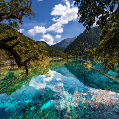 景点模块 