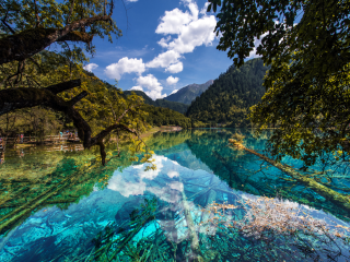 去四川九寨溝旅游_香港旅游團(tuán)四川九寨溝_2021去四川九寨溝跟團(tuán)多少錢
