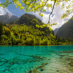 景点模块 