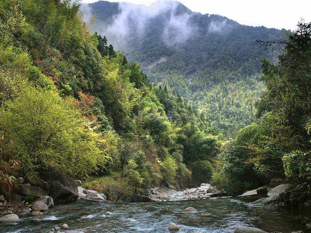 大鄣山卧龙谷