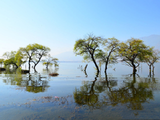 云南大理麗江游價(jià)格_現(xiàn)在到云南大理麗江旅游多少錢_以往國(guó)慶云南大理麗江游價(jià)格